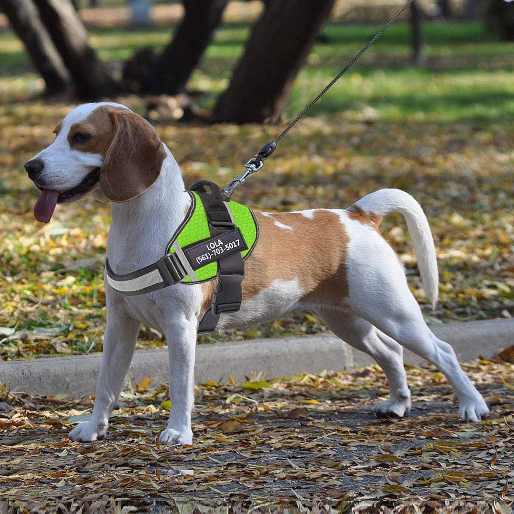 If you wear a no-pull dog harness, you will not suffer any neck damage