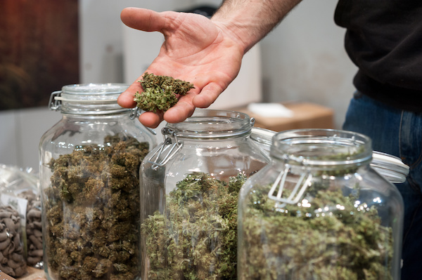 They already have a multitude of goods for people to purchase my weed on-line