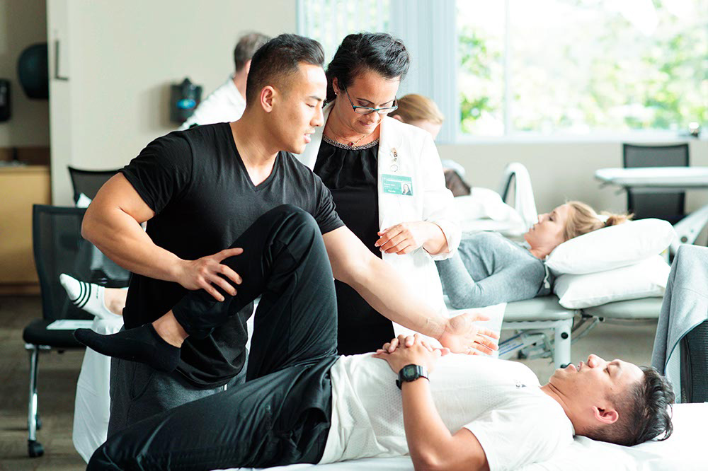 Getting one manual therapy North York is an excellent option to control ailments