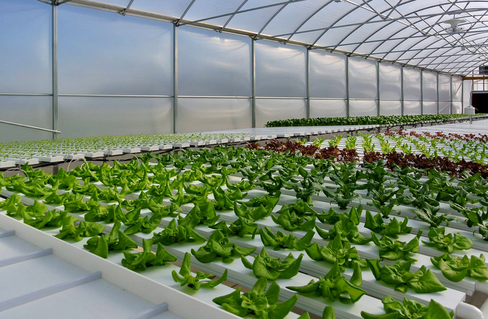 Why You Should Invest in Green Houses