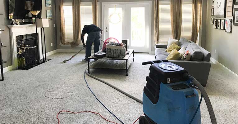 5 Tricks for Stubborn Carpet Stains: How to Remove Tough Spots