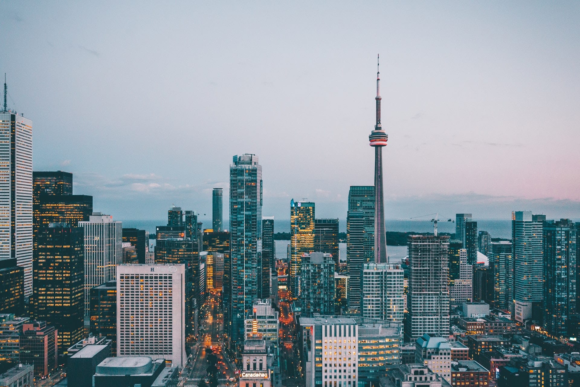 The SEO Company Toronto offers the best SEO program for companies