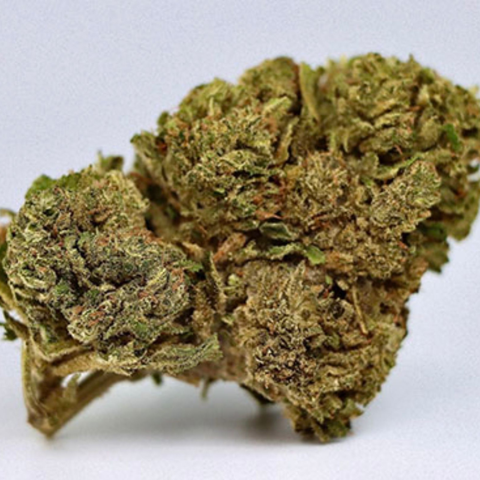 Cannabis Of Supreme Quality From Worldwide