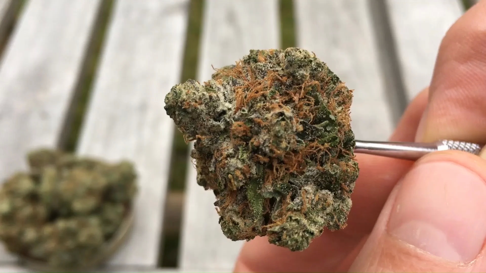 On the web Dispensary Canada: How You Can Get Marijuana On-line?