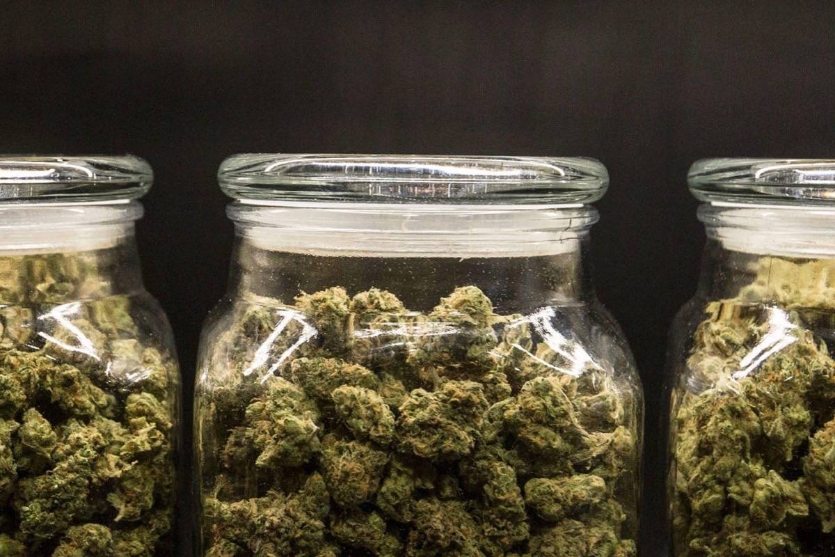 Find out more about Buy Weed In Langley