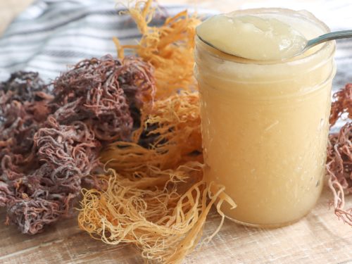 The Benefits Of Sea Moss Gel: Is It Worth The Hype?