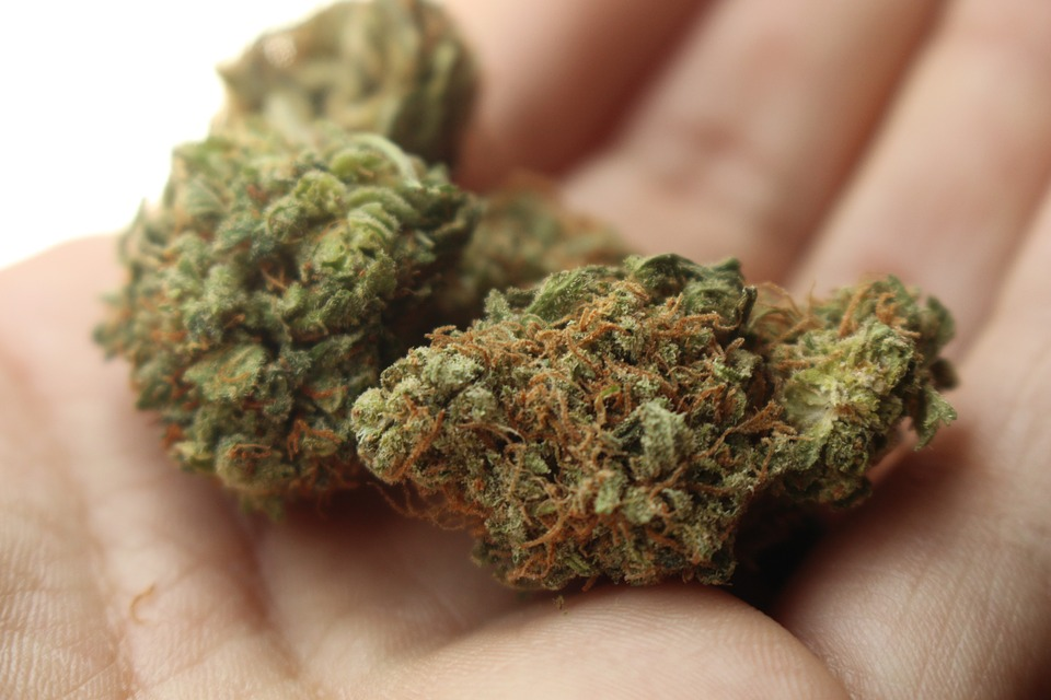 Straight forward ways to best weed delivery surrey