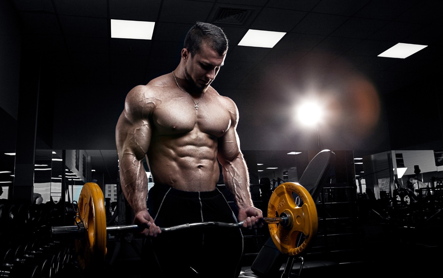 OstarinKaufen- Best Bodybuilding Supplement