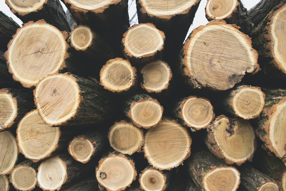 Don’t Get Burned! How to Choose a Firewood Supplier