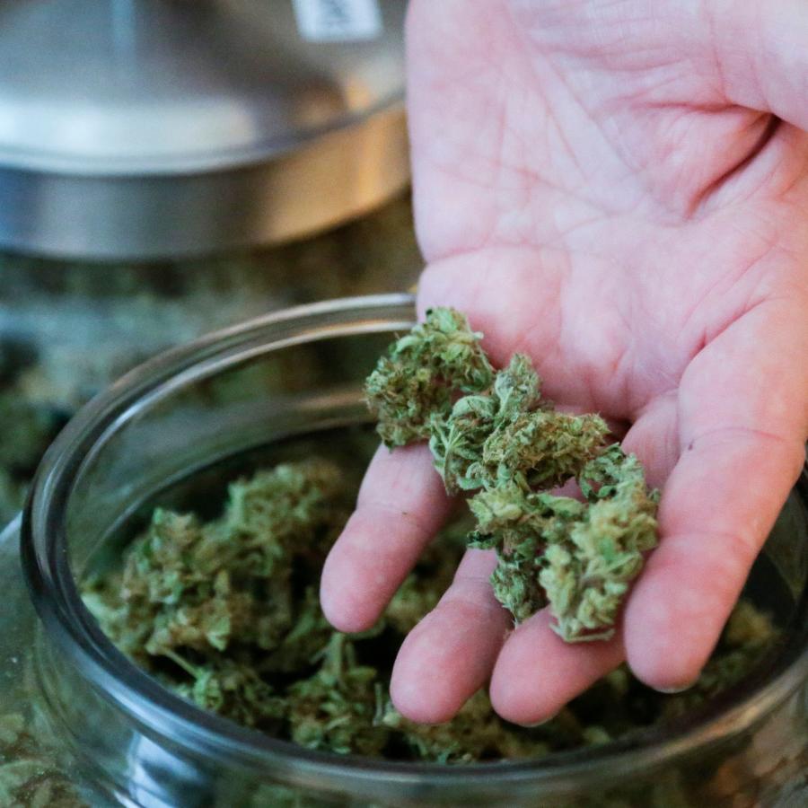 Now Order weeds online in Calgary