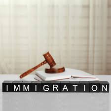 What to Expect at Your First Immigration Lawyer Consultation