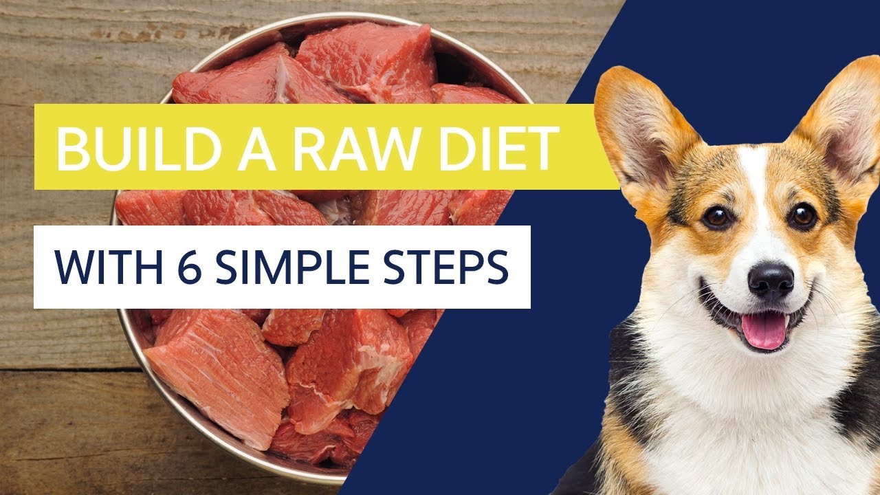 The dietary plan with Raw Dog Food is perfect for your dog to restore the correct weight
