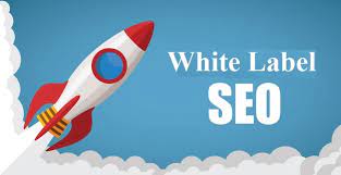 A properwhite label SEO technique warranties you a rise in your profits