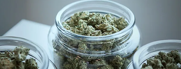 Dispensary Near Me: A Comprehensive Guide