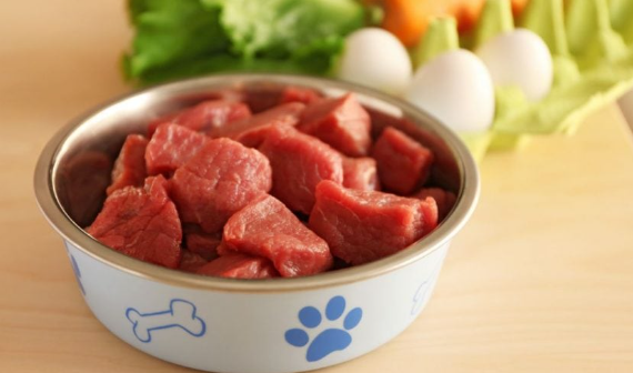 Raw dog food for Dogs with Diabetes