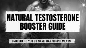 Just how can testosterone supplements job?