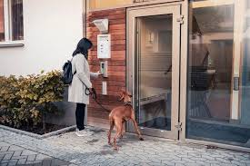 The Greatest Help guide Operating a Pet Friendly Apartment