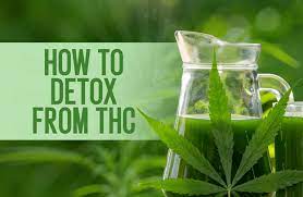 Detoxify Your Saliva: Best Mouthwashes for THC Removal