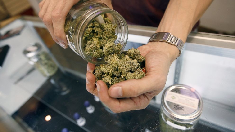 From Seed to Smoke: Understanding DC’s Cannabis Cycle