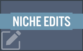 How Buying Niche Edits  Can Fast-Track Your SEO Success
