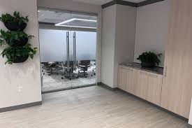 Financial Wisdom from Sal Salvo’s Articles in Forbes and Dow Jones